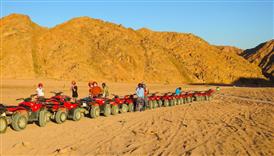 buggy safari