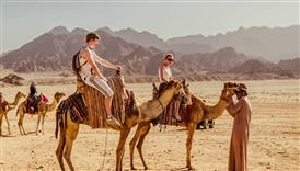 buggy safari